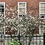 The City Palace - R.Q.C.