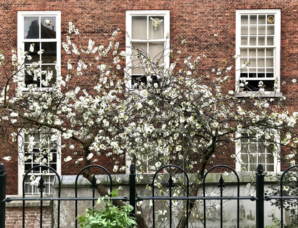 Apartment The Palace - R.q.c. Den Haag